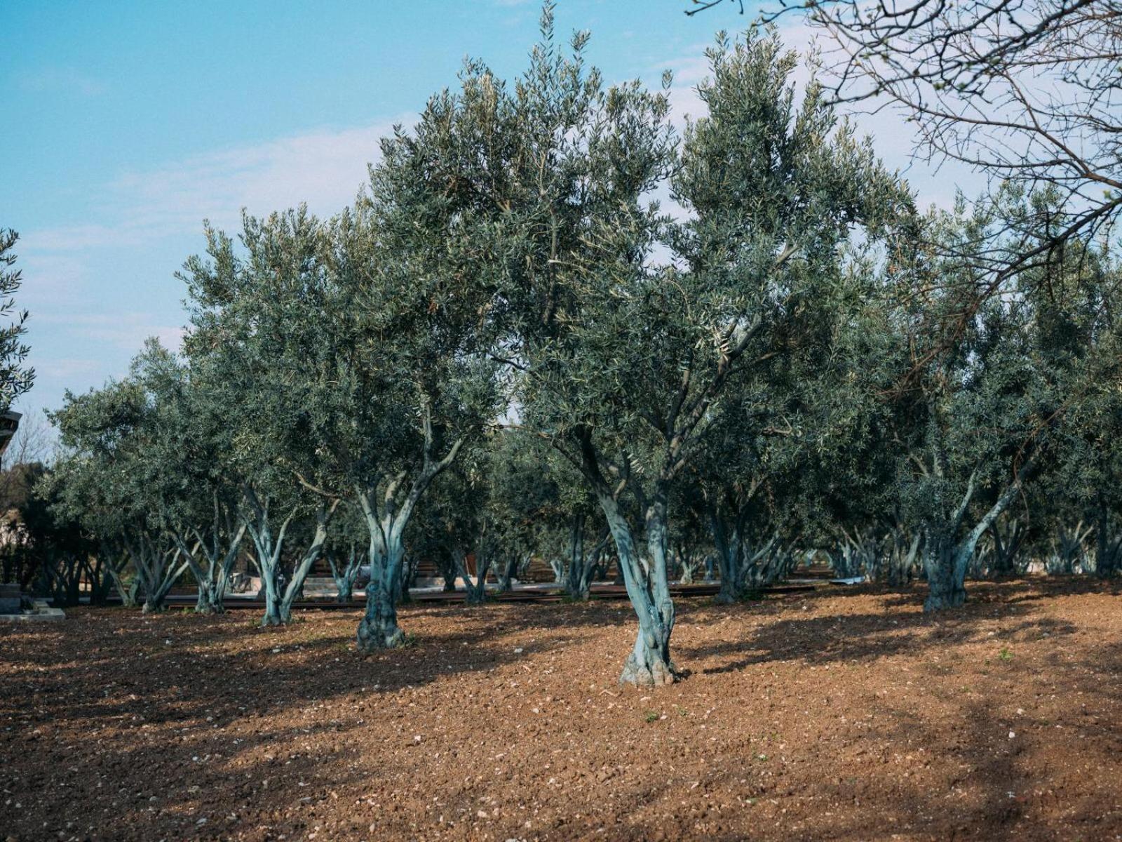 Od Urla Misafirhane Екстериор снимка